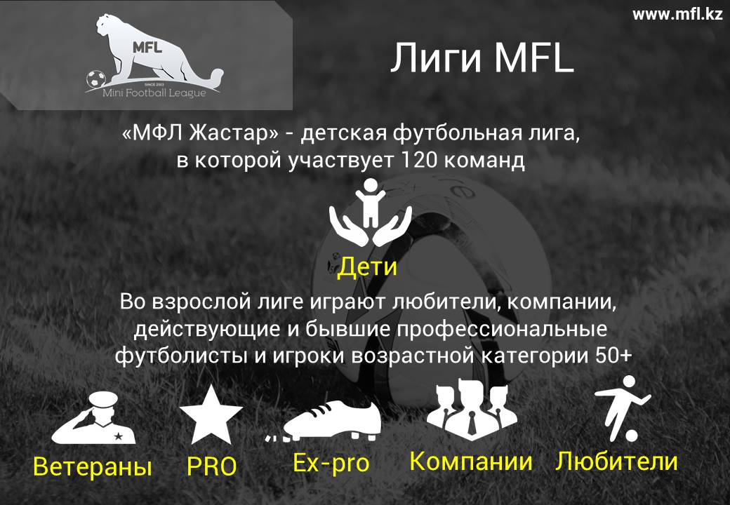 MFL-презентация-3.jpg